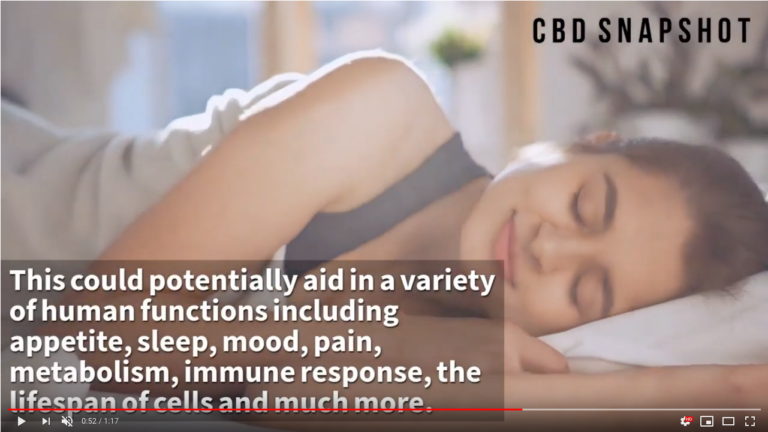 Learn More About CBD - Youtube Video